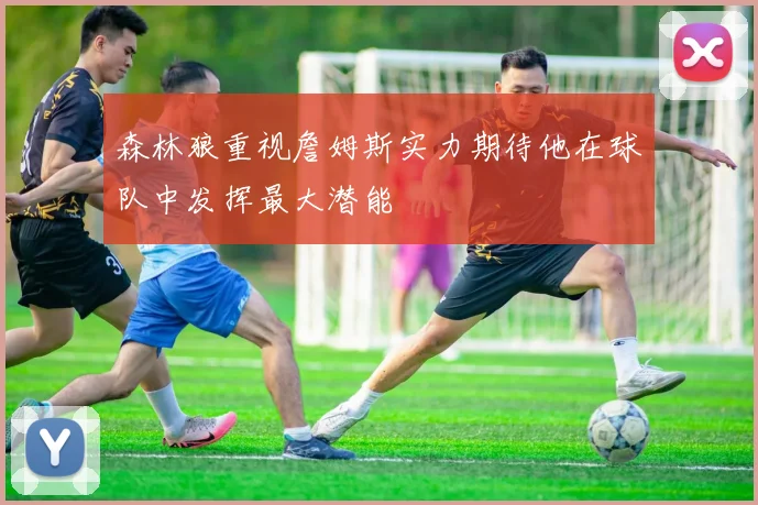 森林狼重视詹姆斯实力期待他在球队中发挥最大潜能